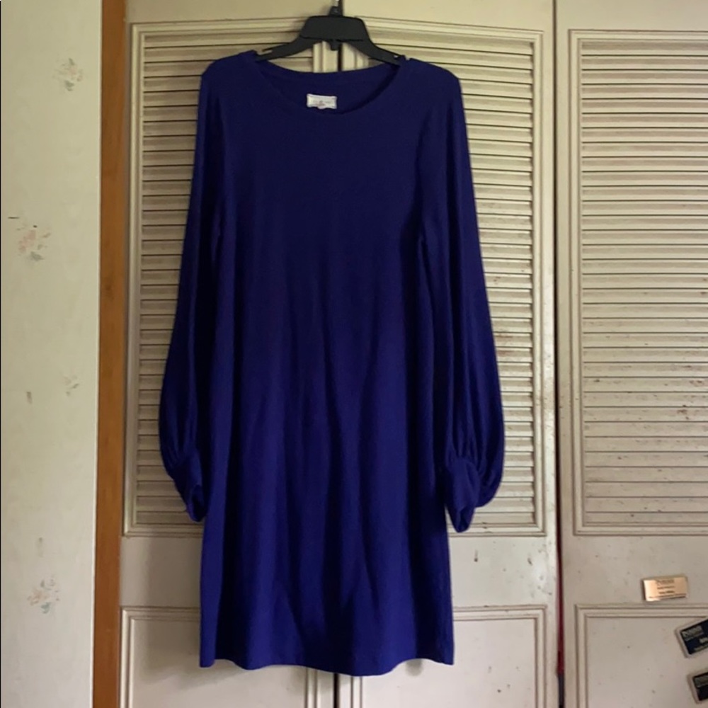 Loft Women’s Dress